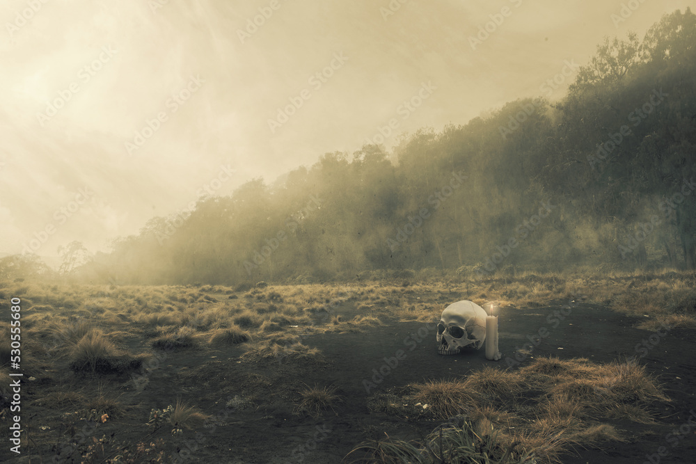 Poster Human head skull and candle on the field