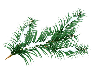 Naklejka premium Fir Branch Christmas Element