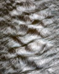 movement in water