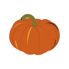 orange pumpkin isolated on white background