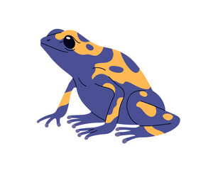 Poison dart tree frog of yellow and blue color. Toxic exotic amphibian reptile. Tropical froglet with spots. Amazon wild bicolor treefrog. Flat vector illustration isolated on white background
