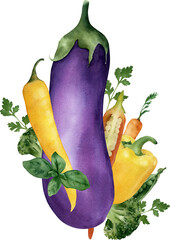 Hand-drawn watercolor composition with vegetables illustration: eggplant, chili pepper, bell pepper, basil, parsley, carrot. Organic vegetarian food composition. Harvest season. Card design