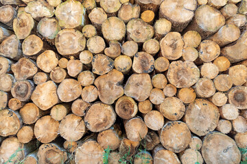 woodpile_background