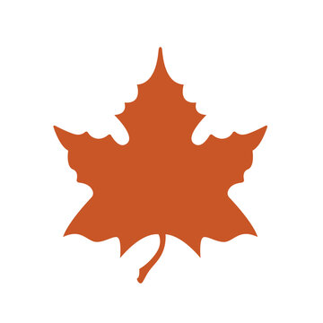Leaf vector fall autumn orange symbol maple