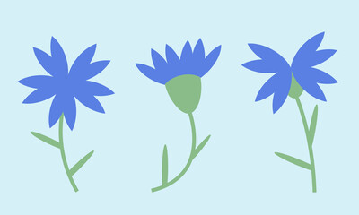 Set of cornflowers. Wildflowers in flat style.