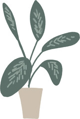 Dieffenbachia houseplant clipart. Trendy easy care indoor plant. Nature at home illustration. 