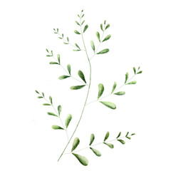 watercolor green leaf branch paper painting 