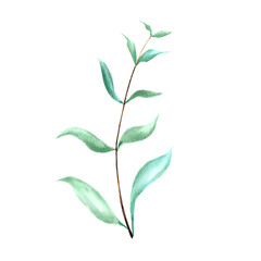 watercolor green leaf branch paper painting 