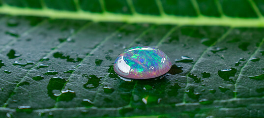 jewelry opal Is a gem that has beautiful colors Rare and expensive 