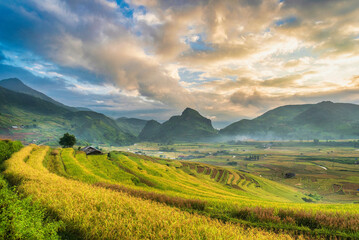 large terraced rice fields Among the mountains, at dawn, in Vietnam.