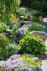 spring flowers in the garden