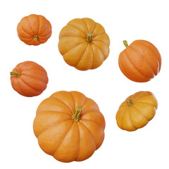 set of six pumpkins of different sizes and shapes for halloween isolated white background. Collection for celebration design. Party decoration. Autumn decoration. White design. Space background.
