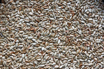 sunflower seeds background