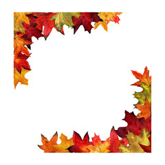 Watercolor draw of maple leaves in ornamental border. Square frame from autumn foliage isolated on white background. Design for label, invite cards, decor, covers, season offers. Template for text.