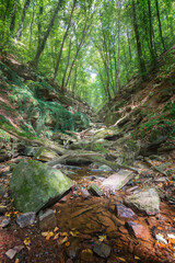 Fototapeta na wymiar Margaretenschlucht eine Schlucht im Wald gelegen ohne Wasser mit Felsen und Felswänden