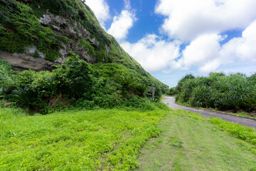 崖の下の小道