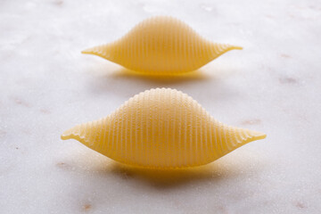 small composition of durum wheat pasta on white marble background