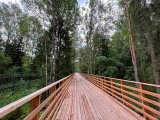 wooden bridge in the middle of the forest