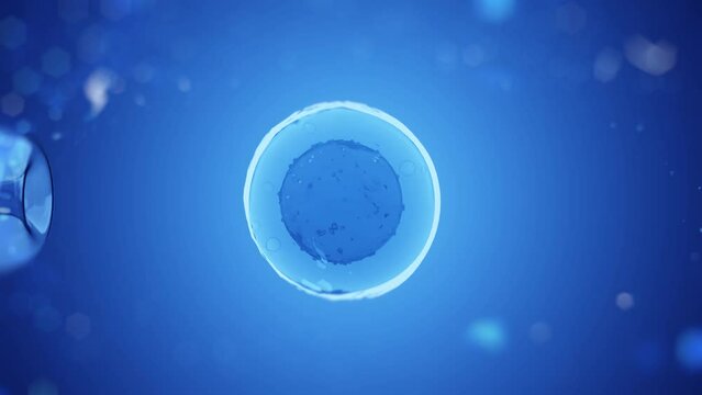 In vitro fertilization (IVF) is a process of fertilization where an egg is combined with sperm in vitro. Test tube baby in lab for pregnancy