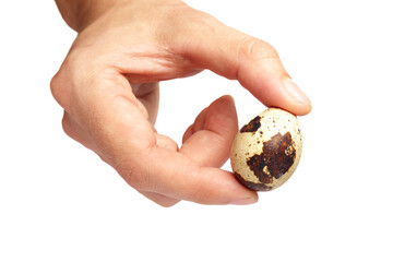 The man is holding small quail egg.