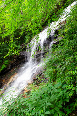 Fototapeta na wymiar A waterfall in a lush green summer mountain scene 
