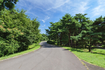 秋晴れのひたち海浜公園　9月