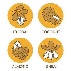 Obraz premium Coconut, shea, jojoba and almond icons set