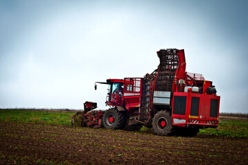 Agricultural vehicle harvesting sugar beet