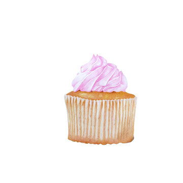 colored pencil vanilla cupcake