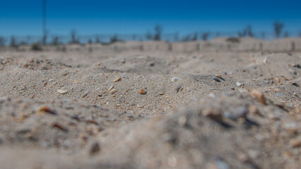 des vagues sur la plage