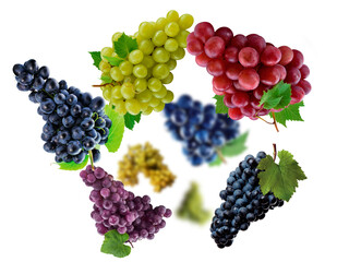 Tasty Grape levitate on a white background, healthy diet. Fresh fruits and vegetables.