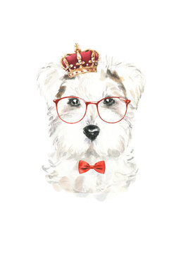 Watercolor Schnauzer illustration, cute dog breed, hipster portrait,funny character, cartoon dog in costume,clothes, accessories, hat, poster, card, invite, print,printable, flyer,it's a boy,diy	