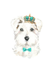 Watercolor Schnauzer illustration, cute dog breed, hipster portrait,funny character, cartoon dog in costume,clothes, accessories, hat, poster, card, invite, print,printable, flyer,it's a boy,diy  © Catherine