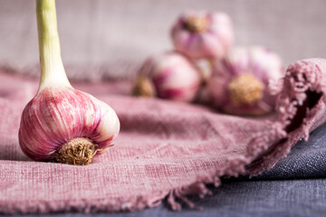 A Perfect heads of garlic, artistic photography for your advertising newsletter.