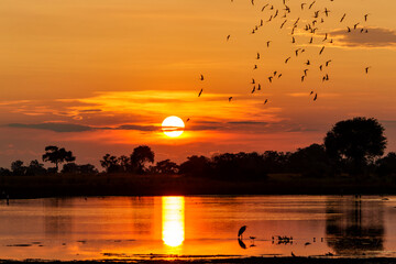 Sunset with a sundowner drink at a lake with birds in the Okavango Delta in Botswana   