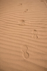 vertical image of footprints