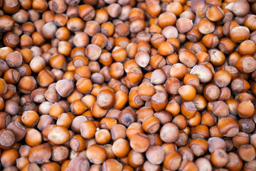 Photo of hazelnut. Hazelnut nut health organic brown filbert autumn background concept. Food background.