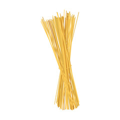 Italian wheat spaghetti bundle icon realistic vector illustration isolated.