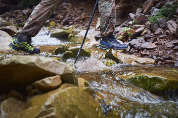 Male tourist crossing over stream in old pine forest. Beautiful ukrainian nature. Carpathian Mountains, Gorgany, Ukraine
