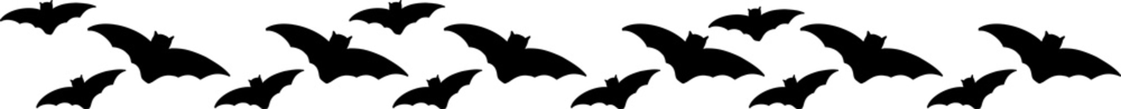 Halloween design border and divider. Clipart spooky elements skull, bat flock, cat. Flat doodle illustration