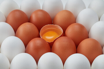 Row of white and brown eggs and single broken egg with a yolk. Brown and white whole eggs and...