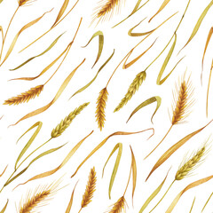Seamless wheat spikelet pattern. Watercolor herbal background with wheat spica, oats spikelet illustration for textile, wallpapers, bakery decor. Wheat spikelets watercolor seamless pattern