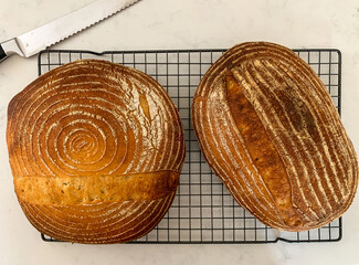 A pair of freshly baked sourdough loaves straight from the oven