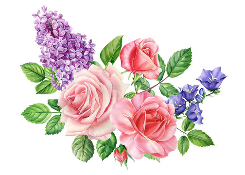 Bouquet of rose, lilac, bell flowers, isolated white background, watercolor botanical painting
