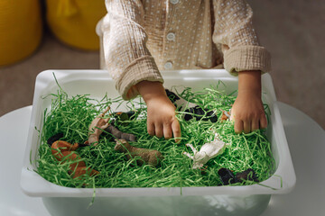 A little girl playing with farm animals in sensory bin with green shredded paper. Educational game, learning through play. Montessori material for toddlers. Sensory play activities - obrazy, fototapety, plakaty
