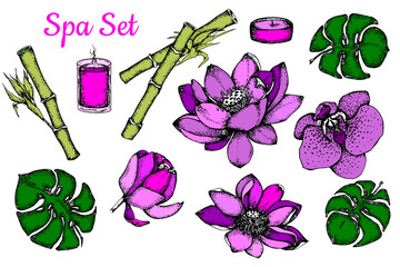 Spa attributes set. Color sketch. Hand drawn collection. Isolated on white background. Template for design of Spa , Wellness center. Stock vector illustration.Collection of beauty and spa line drawing