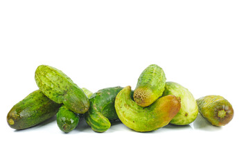 Overripe and green cucumbers Isolated on white background