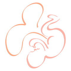 newborn or unborn baby with a long umbilical cord in the shape of a heart, abstract silhouette on a white background