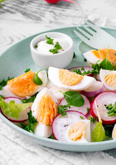 Salad with multicolored radish, boiled eggs, arugula and parsley is served with sour cream on the green plate