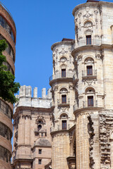 Fototapeta na wymiar Catedral de la Encarnación de Málaga